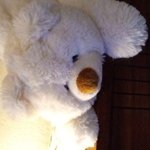 Rare Icicle Ty Classic White Plush Polar Teddy Bear 14" 2005